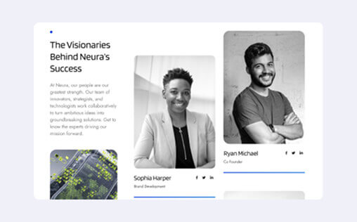 Website template design number fourteen variation seven